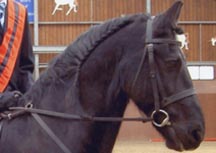 Samson_004.jpg
