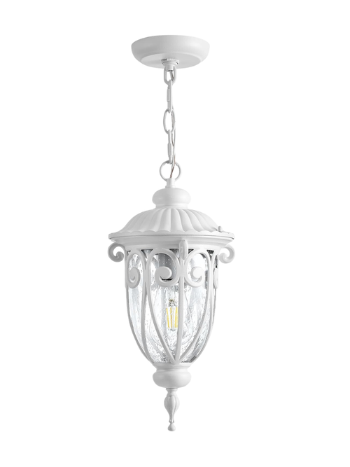Outdoor Pendant Light 
