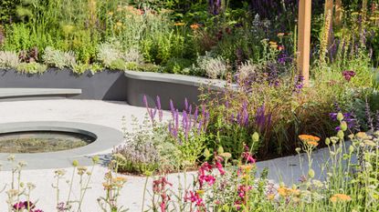 small garden pond ideas - The cancer research uk pledge to progress garden by tom simpson for hampton court 2019