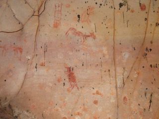 A wide array of animals were depicted in the cave drawings found in Brazil's Cerrado plateau.