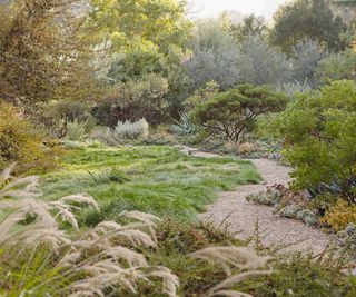 A path winds through grasses and trees