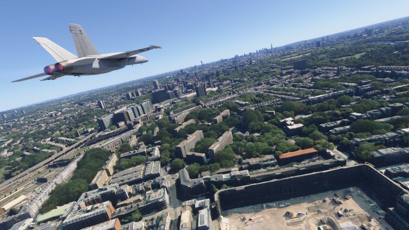 A screenshot of Microsoft Flight Simulator 2024, using the game&#039;s photo mode