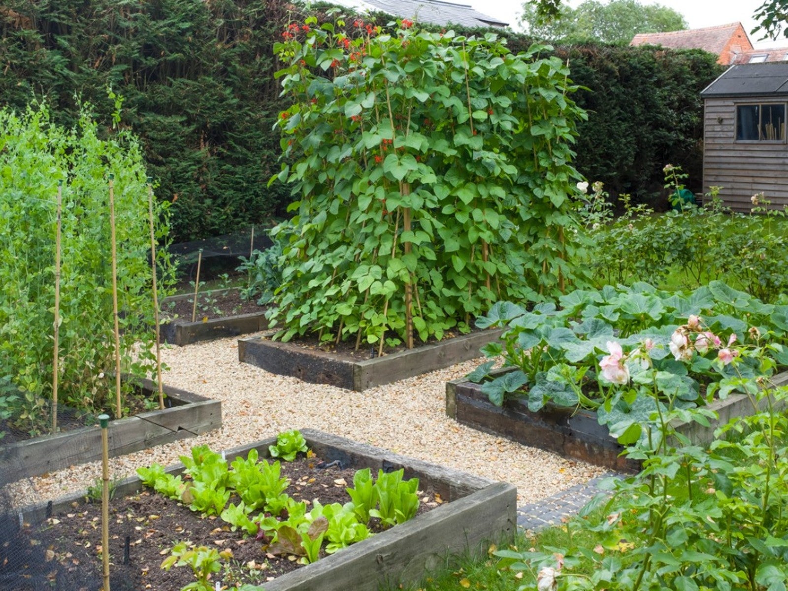 Where is the best place to put a raised garden bed?