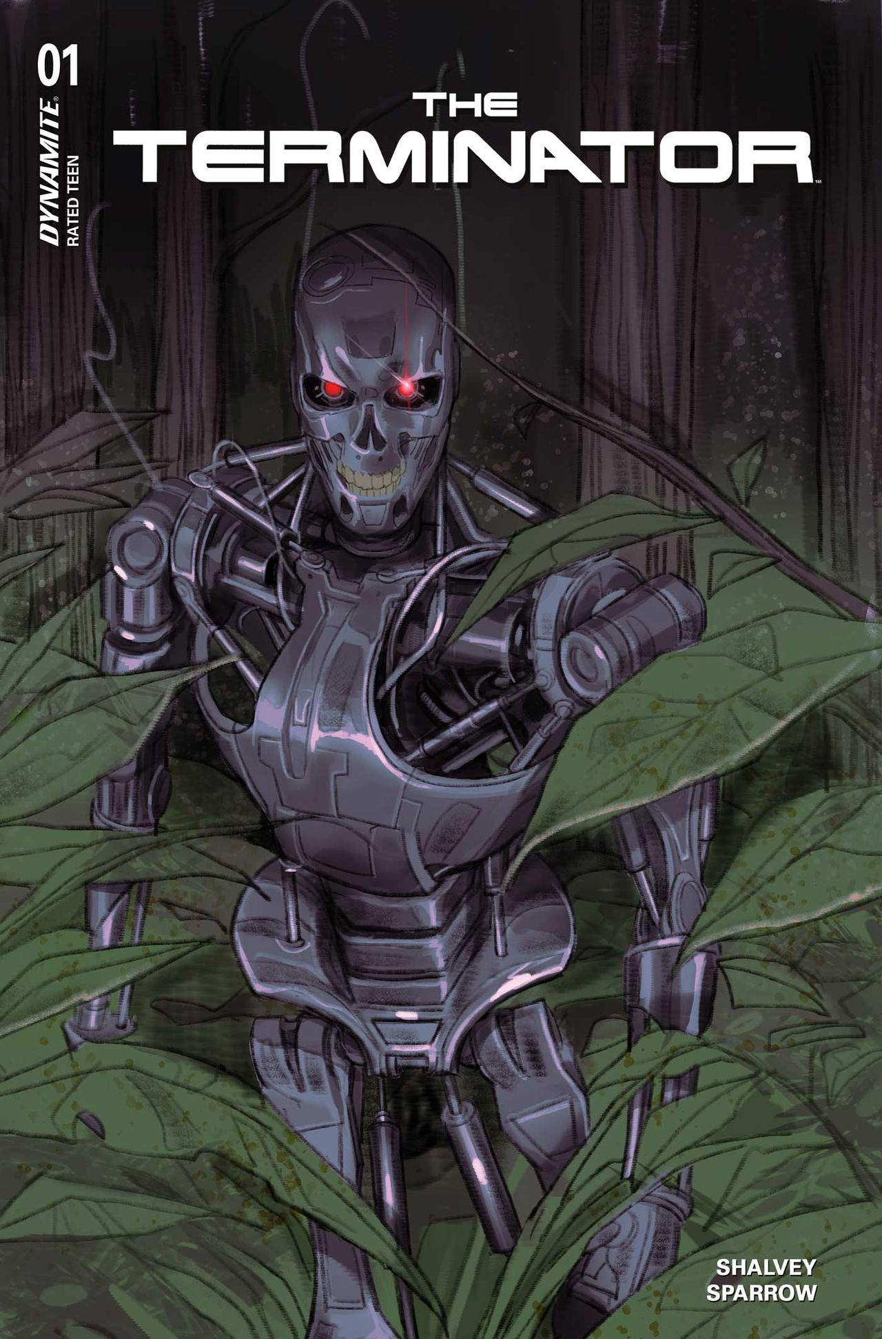 Art from The Terminator #1.