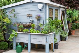 Modern garden ideas: raised vegetable planters painted in light blue