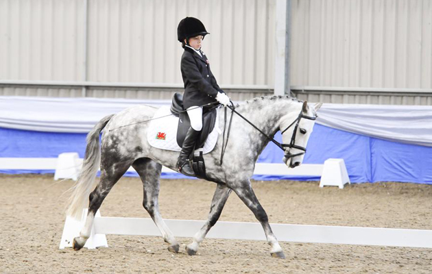 12 year old riding for Wales at the para home international