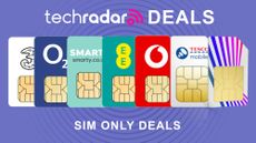 SIM cards from EE,Three,O2, SMARTY,Vodafone, and Tesco Mobile on Purple background with Best SIM-only deals text