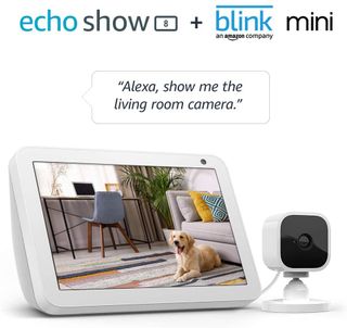 Echo Show 8 Blink Mini Bundle