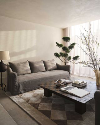 A living room drenched in gray tones