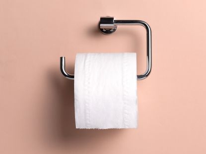 Types of incontinence: Toilet roll holder with copy space