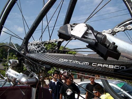 Carbon chainstays