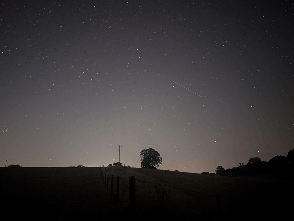 Meteor and plane trails across a clear night sky during the Perseid Meteor Shower 2026, framed by tree silhouettes and the horizon