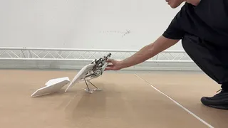 Robotic bird drone falling over