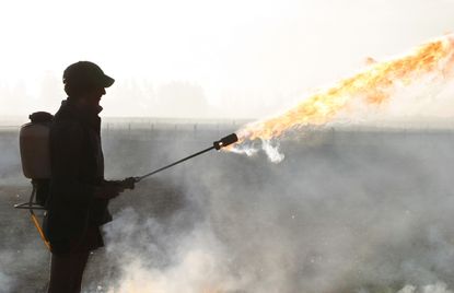 Man using a flamethrower