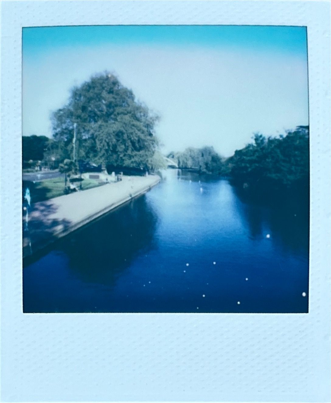Images captured on the Polaroid Go (Gen 2) by T3's Sam Cross, and scanned using the Polaroid app