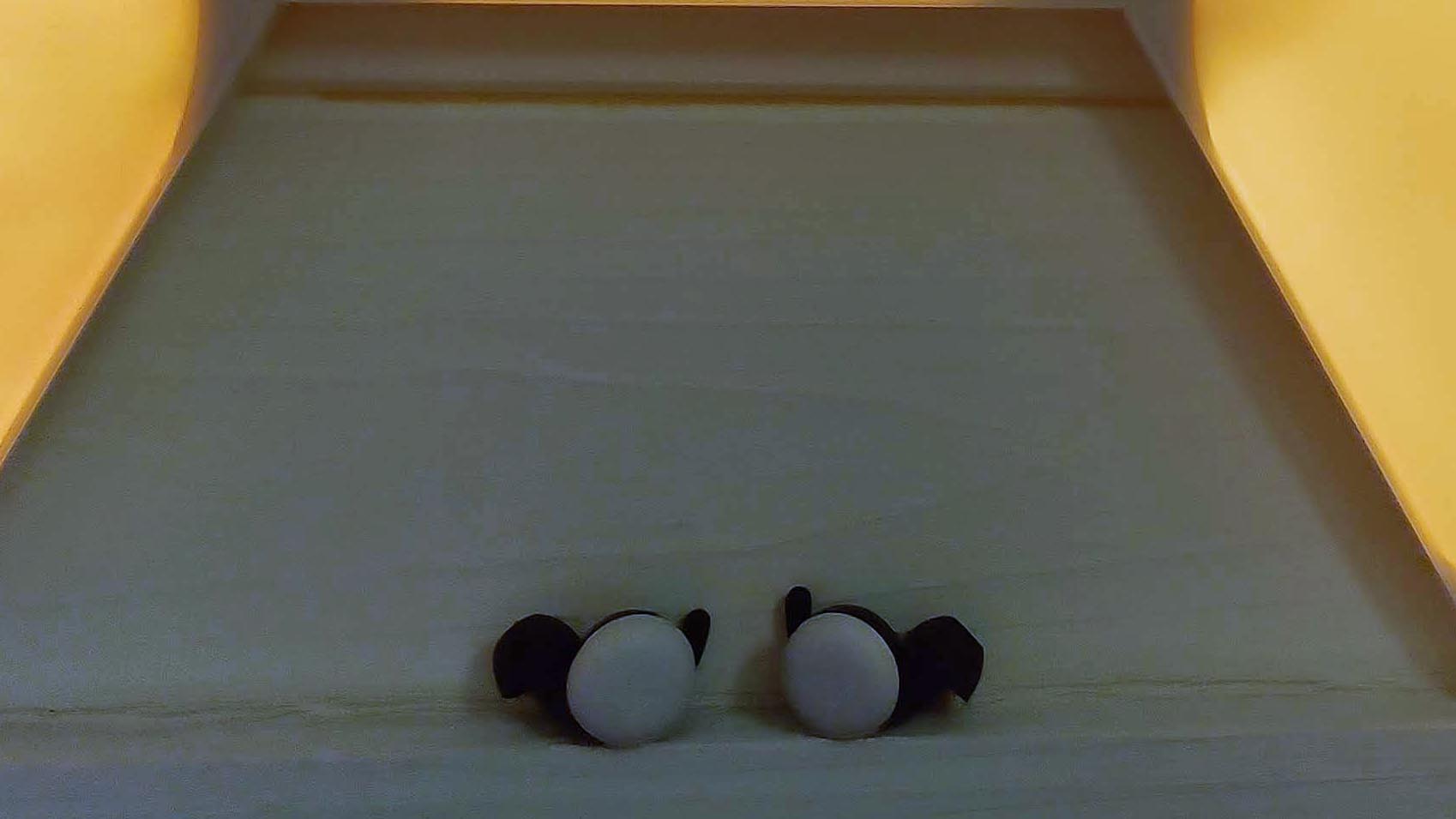 Google Pixel Buds (2020) review: 5 things to know