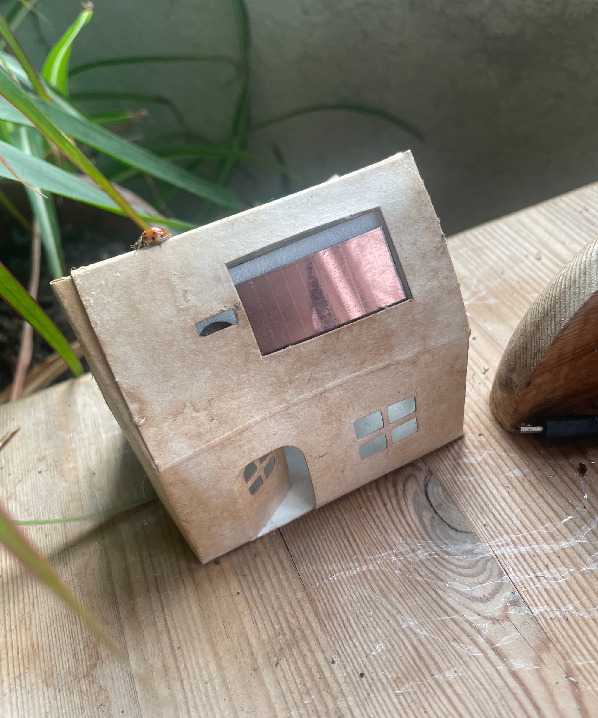 A ladybird on a cardboard house with a solar panel