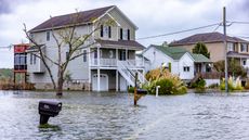 Floodwaters in a neighborhood.