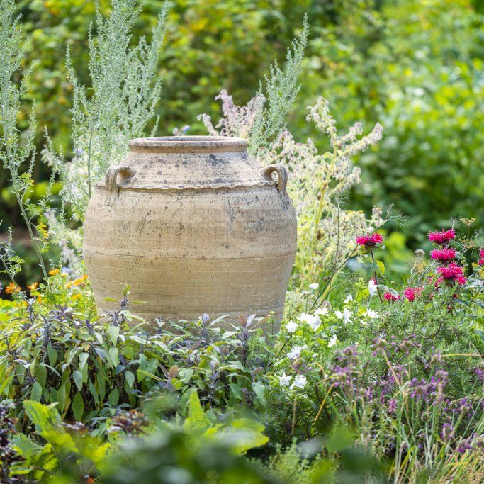 Spice Up Your Landscape With A Front Yard Herb Garden | Gardening Know How