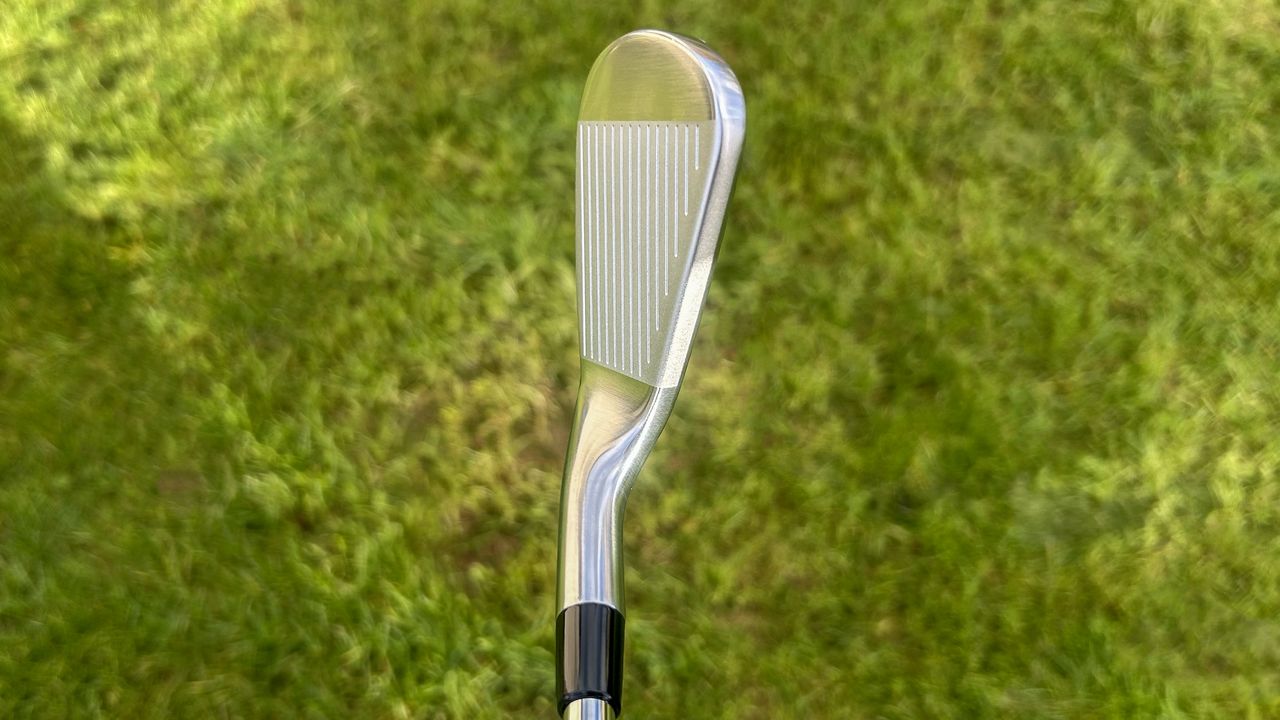Photo of the Callaway Quantum Max Iron at address