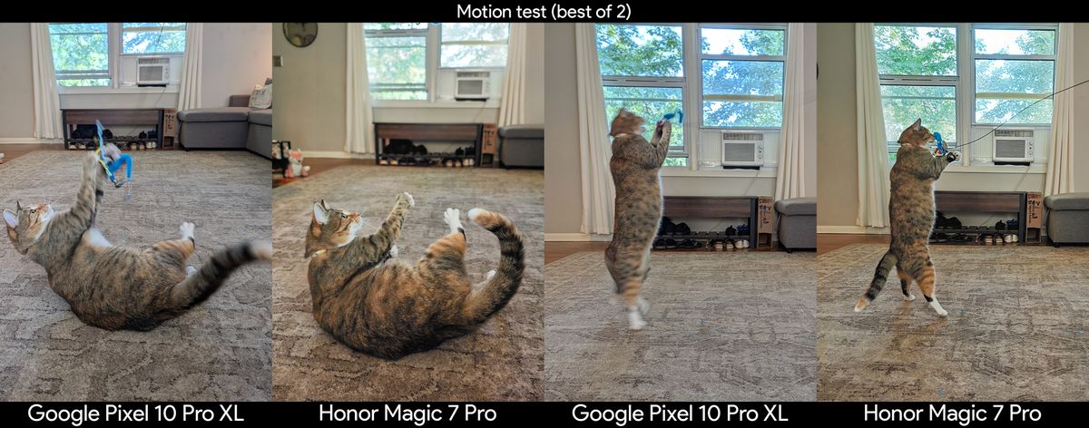 Comparing camera motion capture with photos of a cat, captured on a Google Pixel 10 Pro XL and an Honor Magic 7 Pro