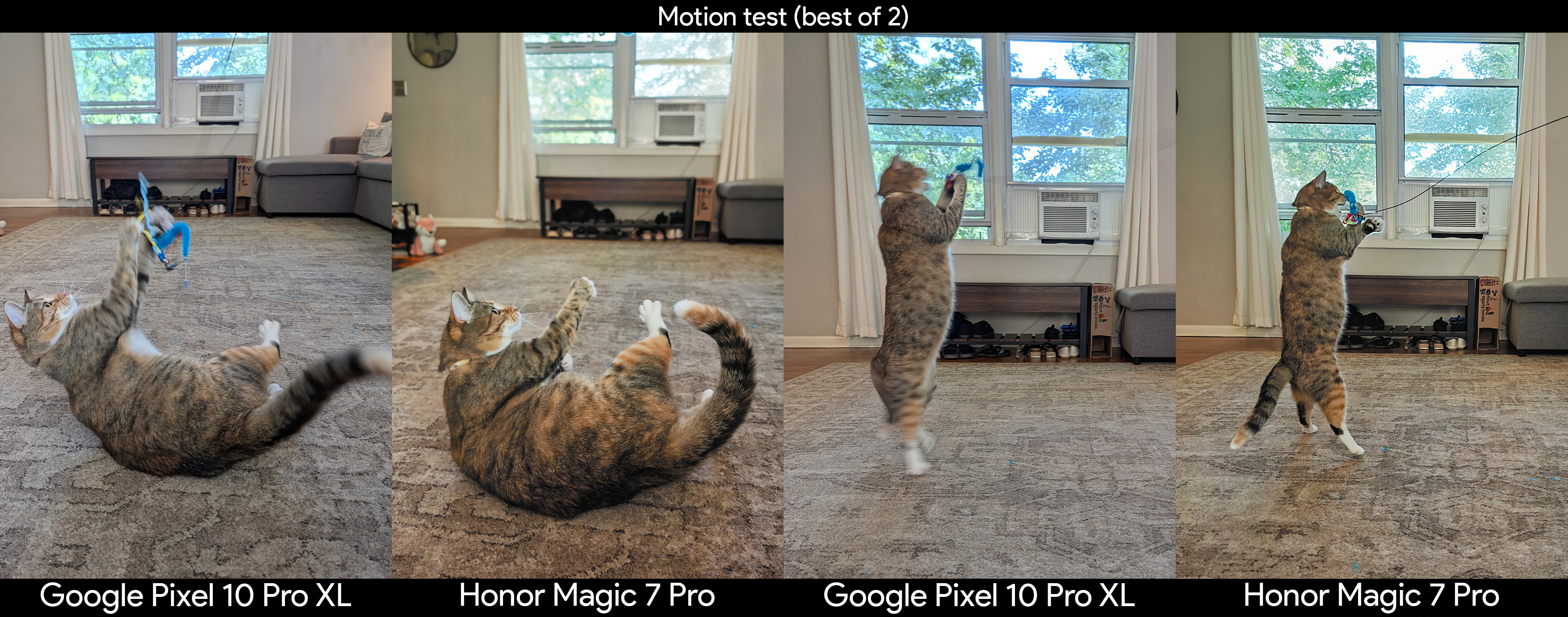 Comparing camera motion capture with photos of a cat, captured on a Google Pixel 10 Pro XL and an Honor Magic 7 Pro