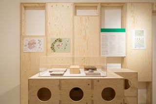 RIBA's Long Life, Low Energy exhibition timber clad interiors