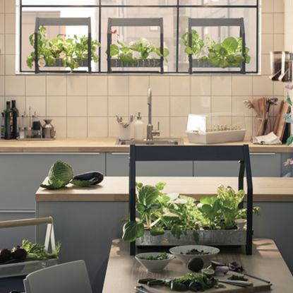 Ikea launches hydroponic indoor gardening kit | Ideal Home