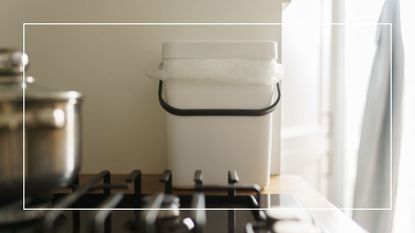 picture of inside food bin on kitchen counter 