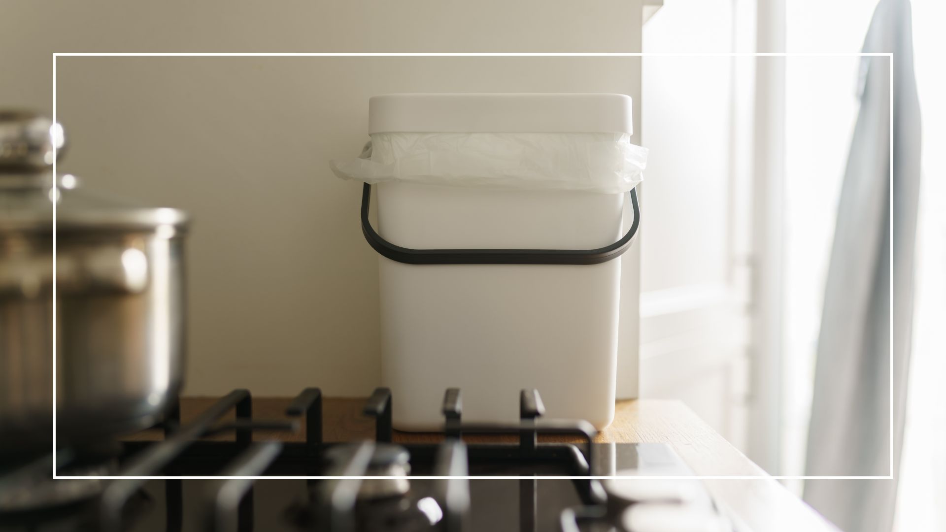 picture of inside food bin on kitchen counter 