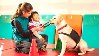 A female care assistant and a labrador playing with an autistic boy