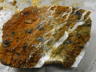Deep oceanic crust, like this highly fractured and altered piece collected from the Mid-Atlantic Ridge flank during the team’s cruise, could serve as a massive reservoir for microbial life on Earth.