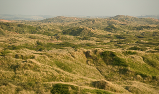 Braunton Burrows