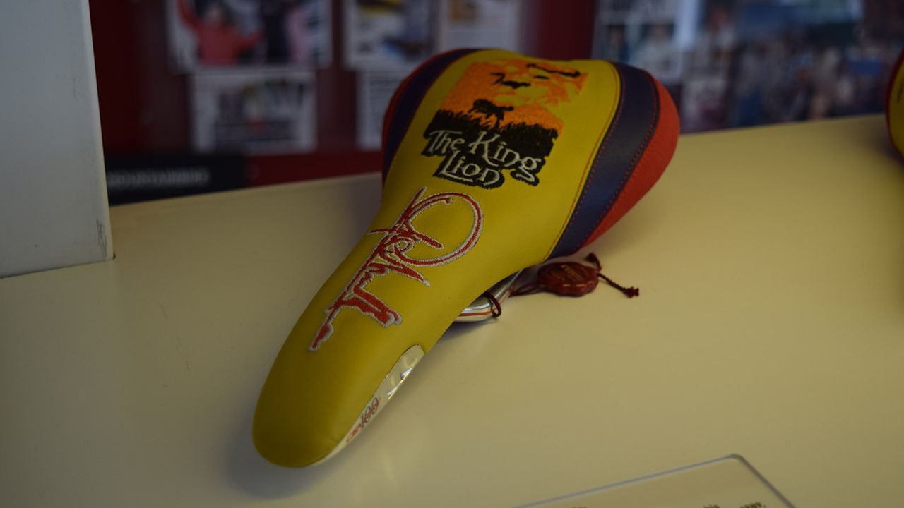 Mario Cipollini's 'The King Lion'