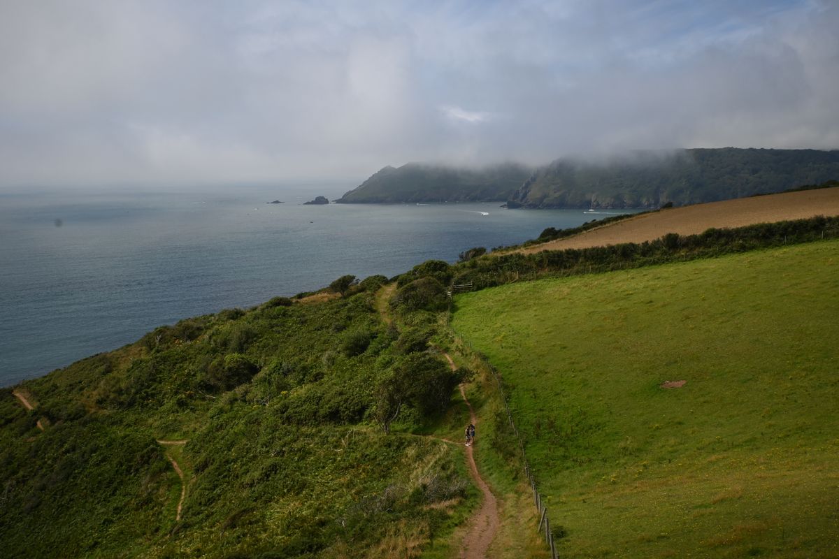 Photo of a grassy field in a bay taken on the Nikon Z fc