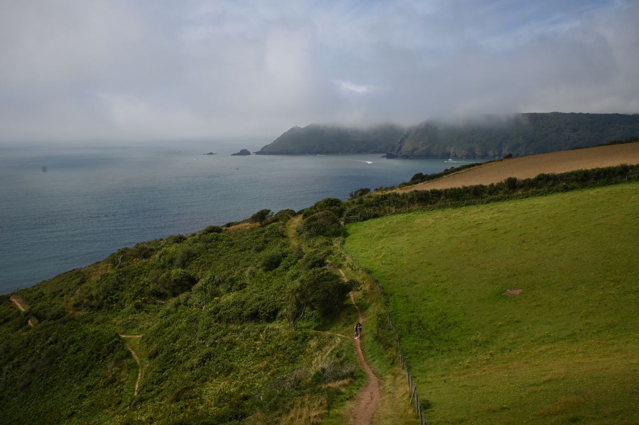 Photo of a grassy field in a bay taken on the Nikon Z fc