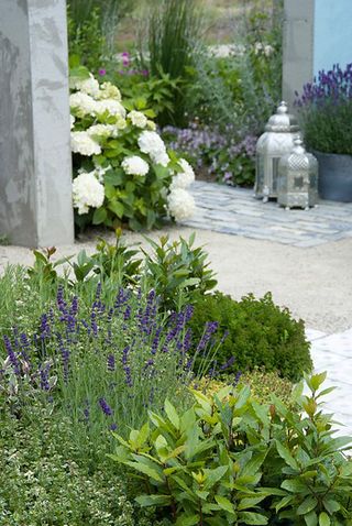 Edging plants: patio area surrounded by pretty planting
