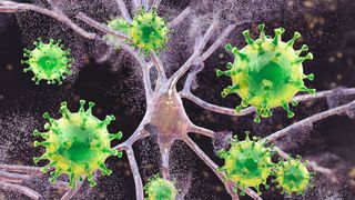 illustration of bright green viruses floating near nervous system cells