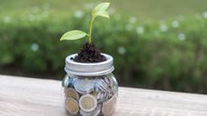A glass jar filled with coins with a small plant growing from the top