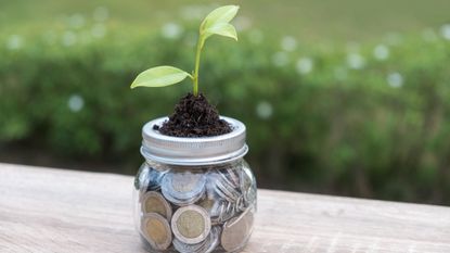 A glass jar filled with coins with a small plant growing from the top 