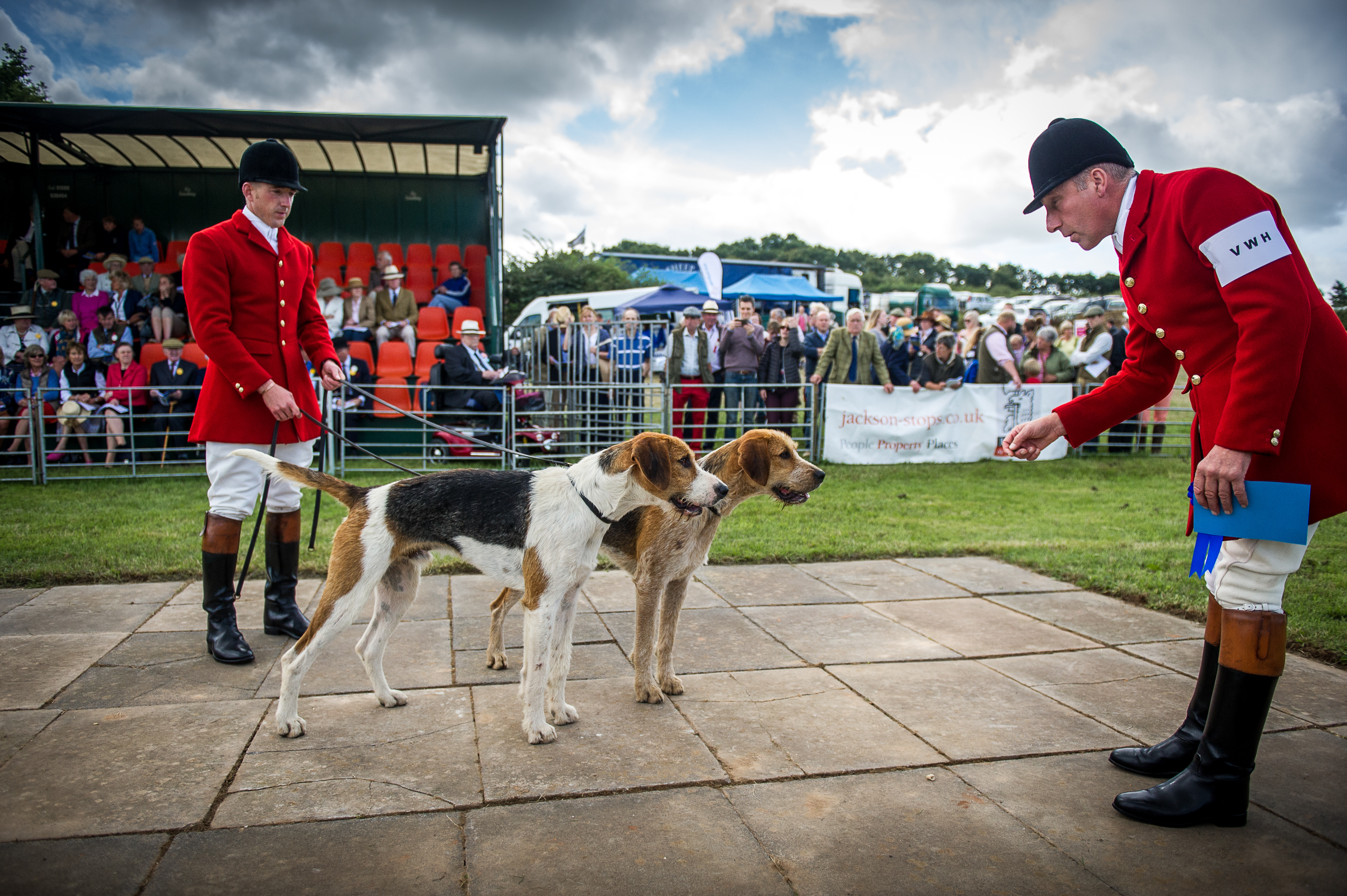 West of England Hound Show 2016 Honiton &mdash; VWH Latimer and Folklore claimed the honours in the class for the best couple of unentered doghounds
