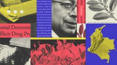 Photo composite illustration of Gustavo Petro, a coca plantation, drug brick and map of Colombia