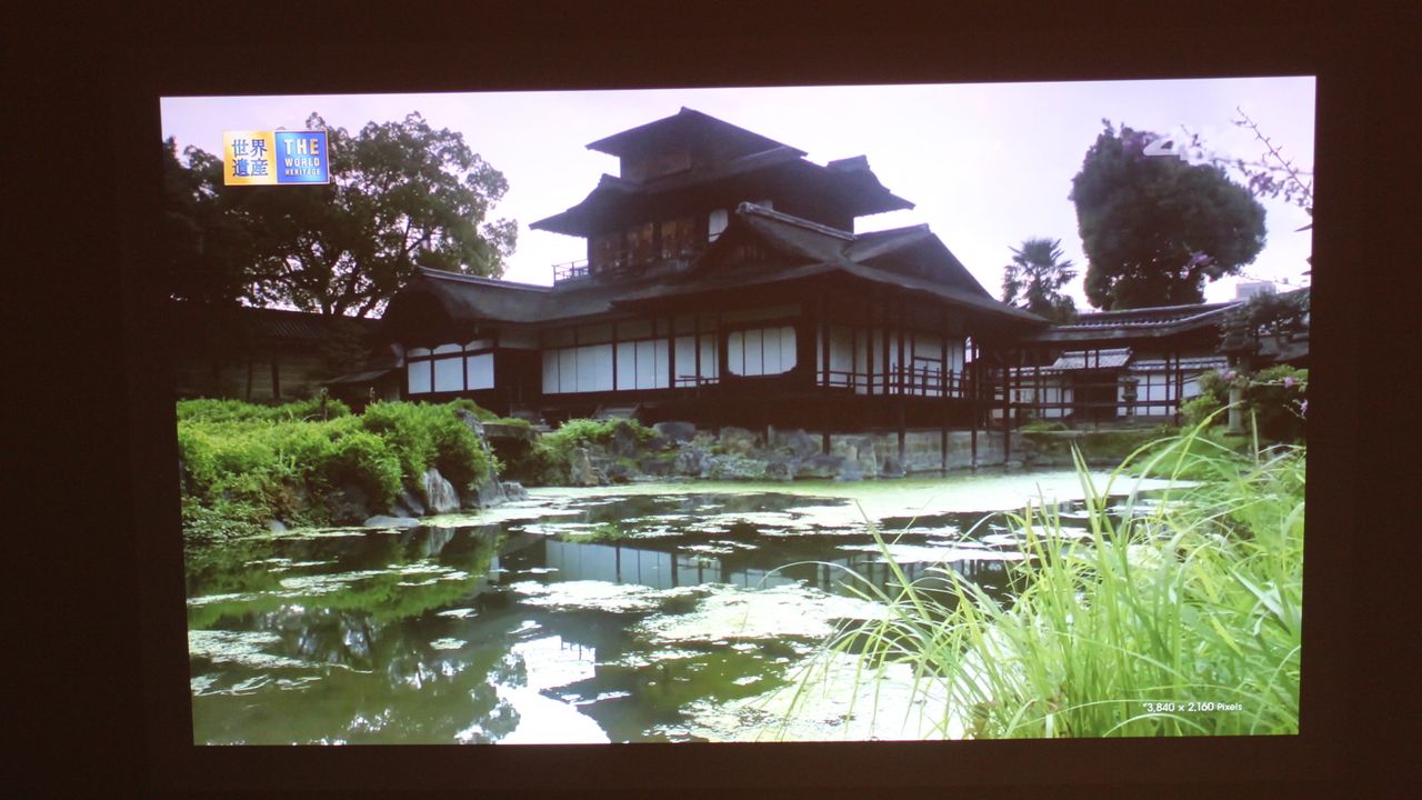 Projector sample image