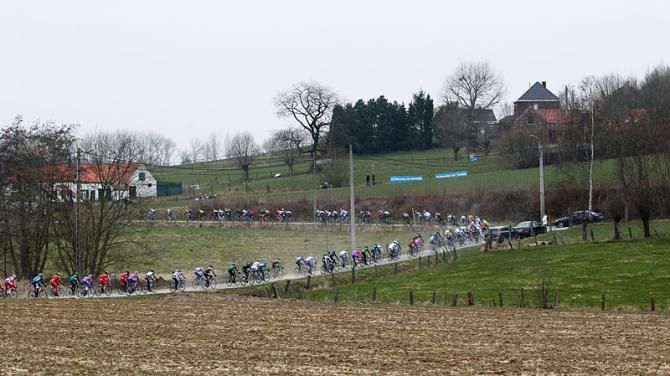 The peloton on winding roads