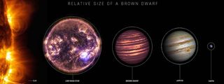 A size comparison of stars, brown dwarfs, and gas giants.