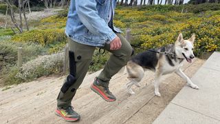 man wearing Mo/Go exoskeleton with dog