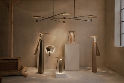 Folia Collection by Federico Stefanovich