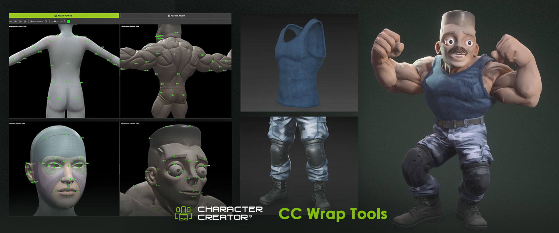 Reallusion software in use