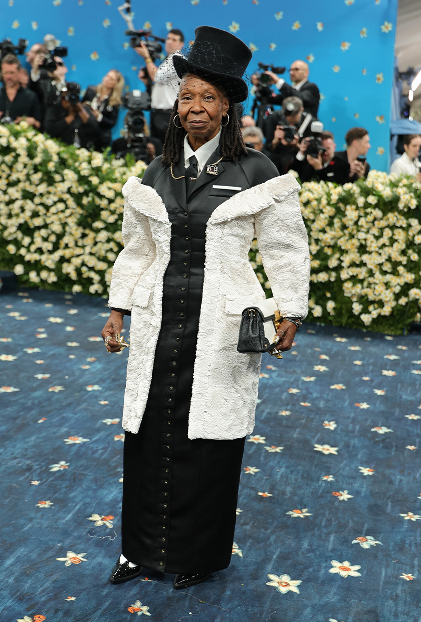 Met Gala red carpet 2025