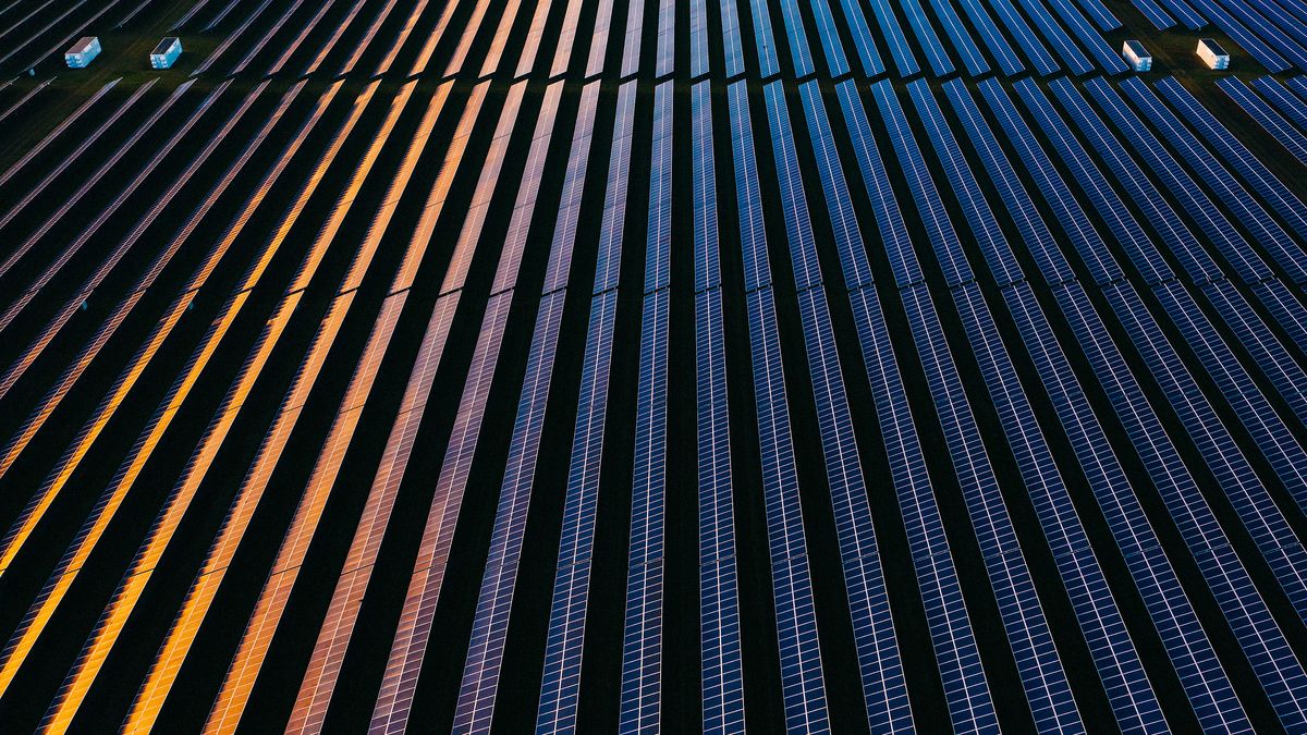 An aerial view of solar panels, in straight rows that go from the bottom of the frame to the top, with two small box-like structures in a clearing in the top left and an equal two in the top right. They are lit by the setting sun.